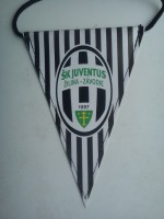 /album/zilina1/zilina-zavodie-sk-juventus-19-jpg/